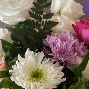 Meet your Posher, Casey